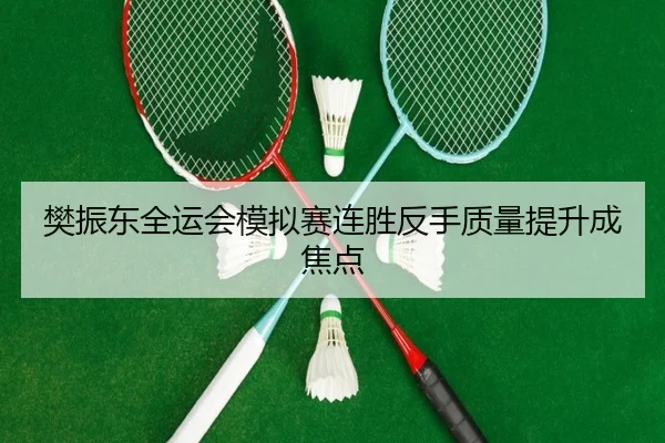 樊振东全运会模拟赛连胜反手质量提升成焦点